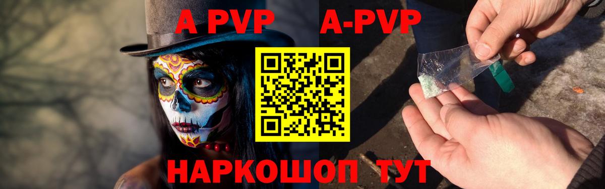 A PVP СК КРИС Луга