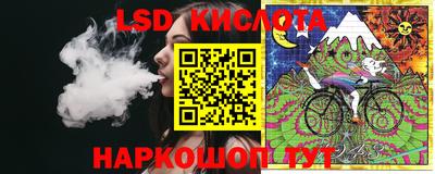 шишки Тулун