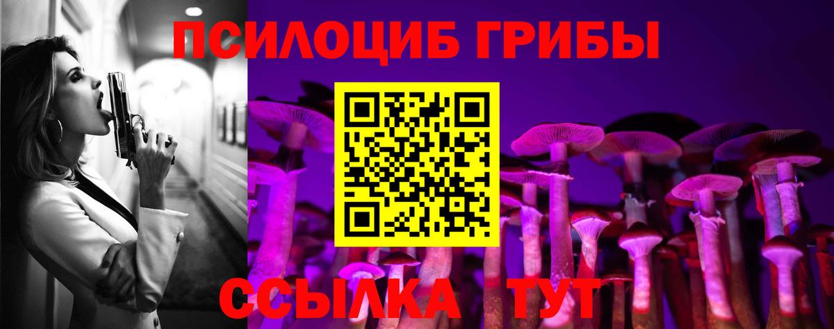 Галлюциногенные грибы мухоморы Луга